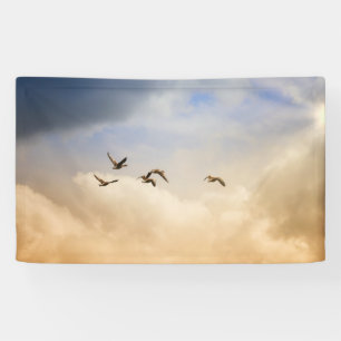 Flock of Birds in Flight Banner
