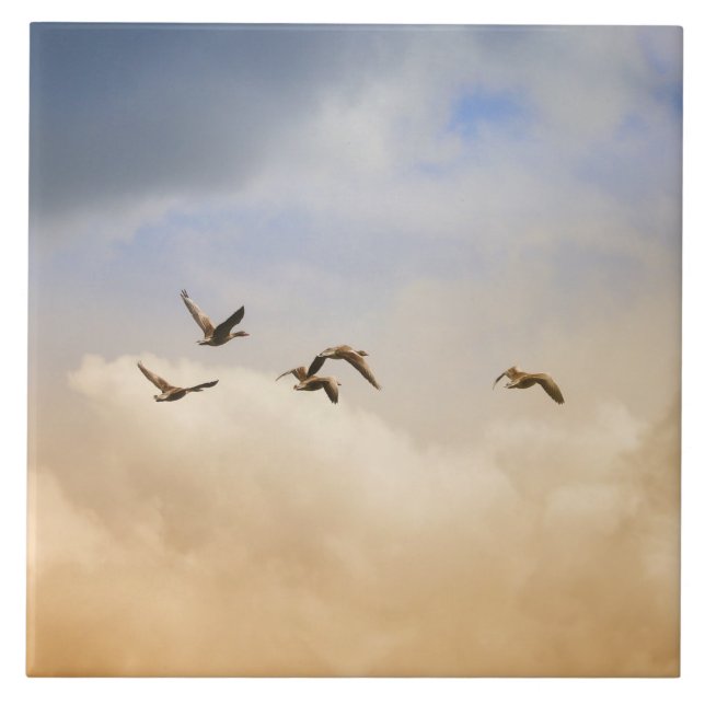 Flock of Birds in Flight Ceramic Tile (Front)