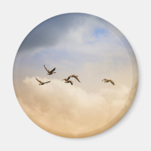 Flock of Birds in Flight Magnet