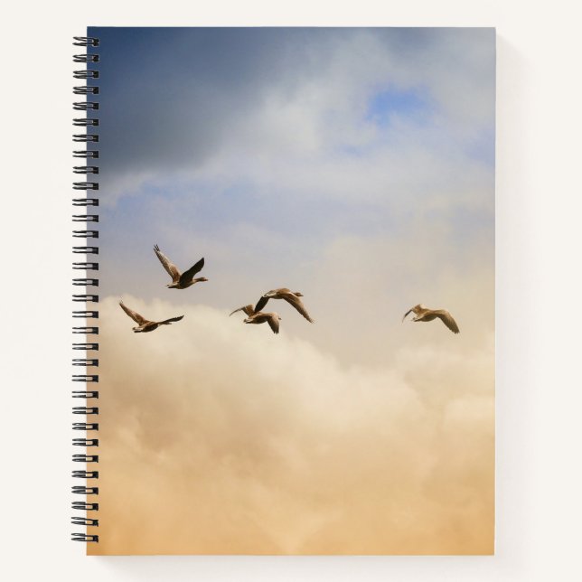 Flock of Birds in Flight Notebook (Front)