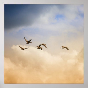 Flock of Birds in Flight Poster