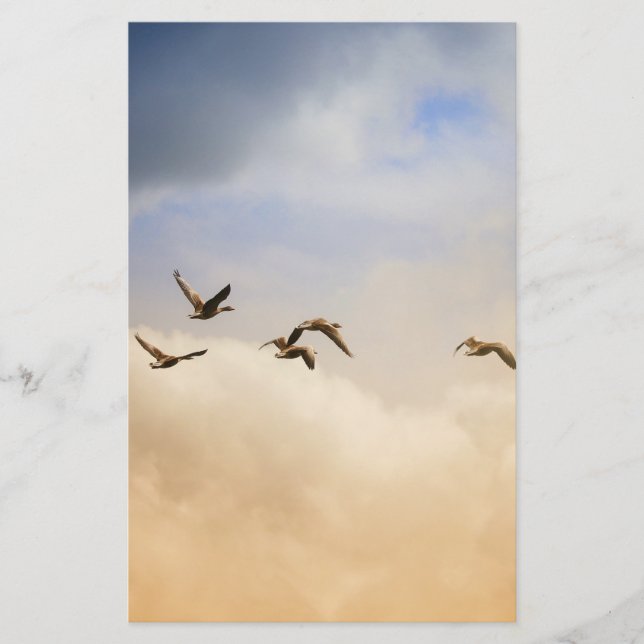 Flock of Birds in Flight Stationery (Front)