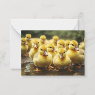 Flock of Ducklings Card
