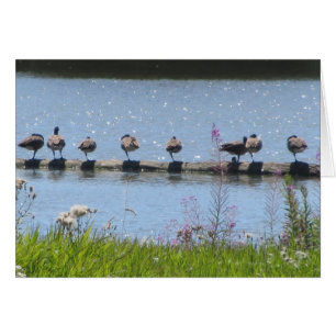 Flock of  Ducks on a Log