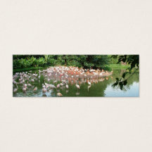 Flock of flamingo in water, mini bookmark