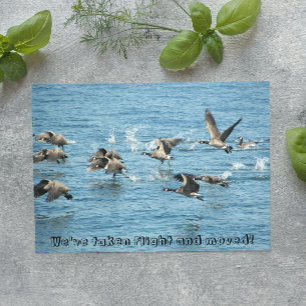 Flock of Flying Geese Moving Announcement Postcard