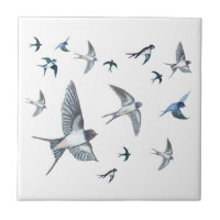 Flock Of Flying Swallow Birds Illustration