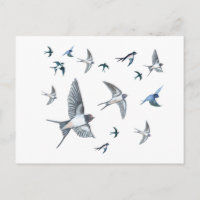 Flock Of Flying Swallow Birds Illustration