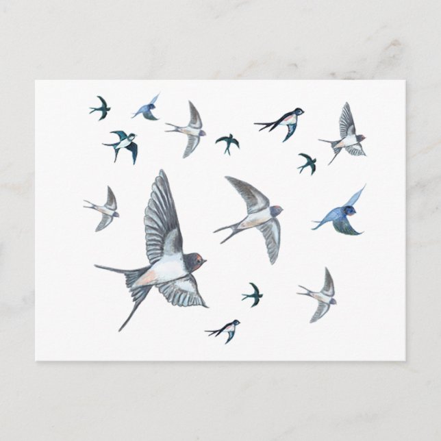 Flock Of Flying Swallow Birds Illustration Postcard (Front)