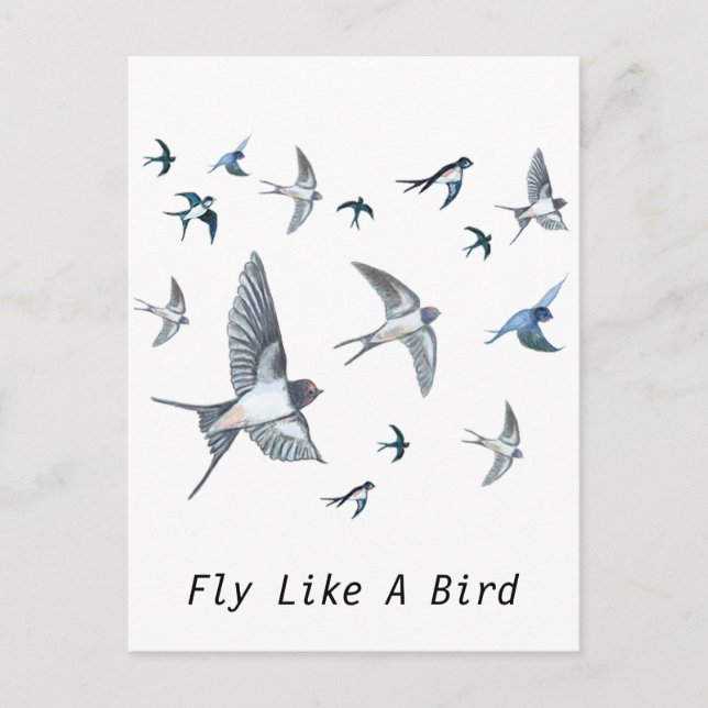 Flock Of Flying Swallow Birds Illustration Postcard (Front)
