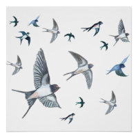 Flock Of Flying Swallow Birds Illustration