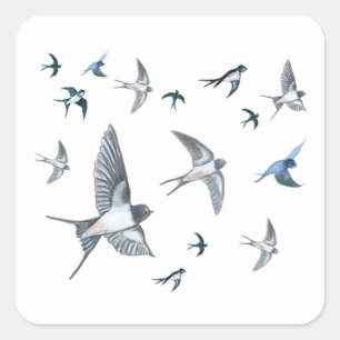 Flock Of Flying Swallow Birds Illustration Square Sticker
