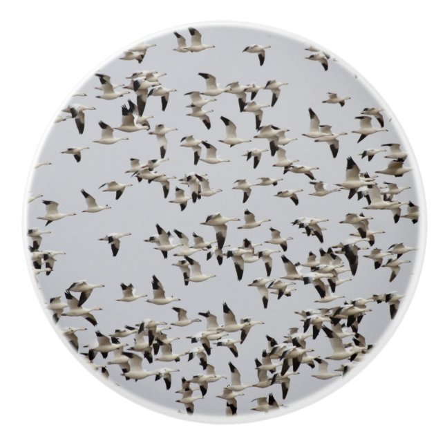 Flock of Geese in Flight Ceramic Knob (Front)