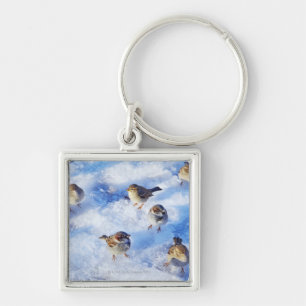 Flock of House Sparrows 'Passer domesticus' on Key Ring