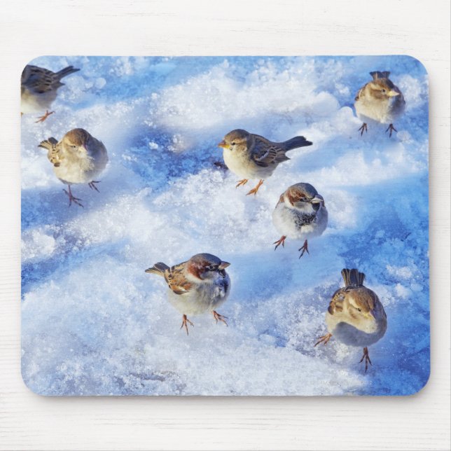 Flock of House Sparrows 'Passer domesticus' on Mouse Pad (Front)
