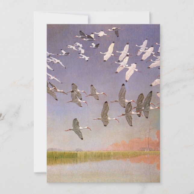 Flock of Ibis Flying Over Wetlands, Vintage Birds (Front)