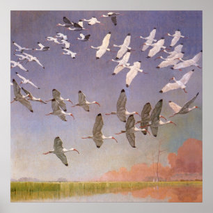 Flock of Ibis Flying Over Wetlands, Vintage Birds Poster