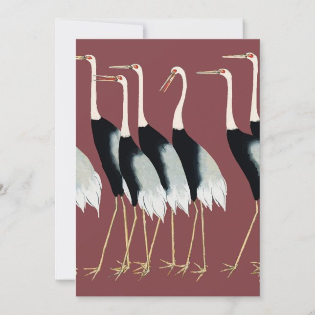 Flock of Japanese red-crown crane Card (Front)