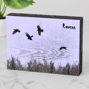 Flock of Ravens Wooden Box Sign