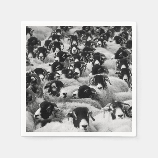 Flock of Sheep Black and White Napkin (Front)