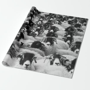 Flock of Sheep Black and White Wrapping Paper
