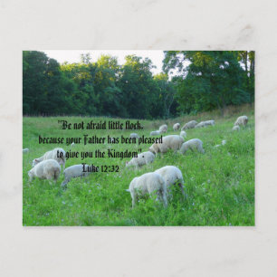 Flock of Sheep-Easter with Psalm Holiday Postcard