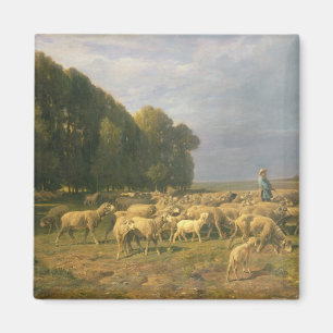 Flock of Sheep in a Landscape Magnet