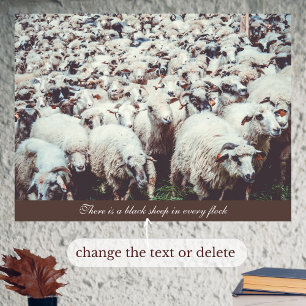 Flock of white & black sheep  poster