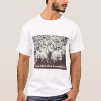 Flock of white & black sheep