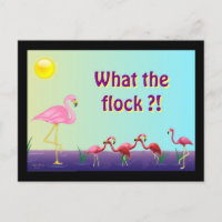 Flock Off