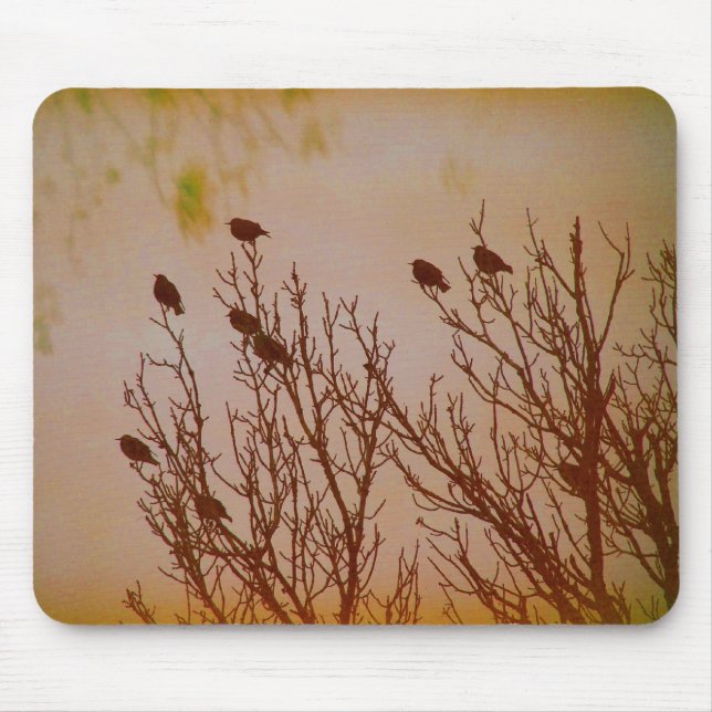 Flock Together Mouse Pad (Front)