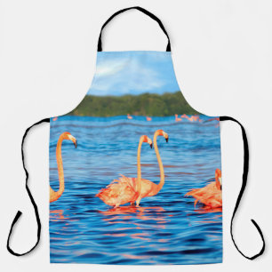 Flocks of beautiful pink flamingos in the Celestun Apron