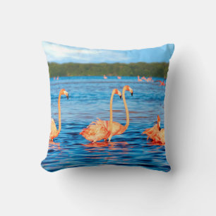 Flocks of beautiful pink flamingos in the Celestun Cushion