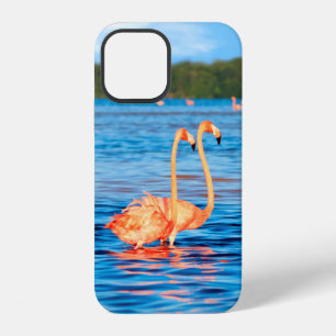 Flocks of beautiful pink flamingos in the Celestun iPhone 12 Case