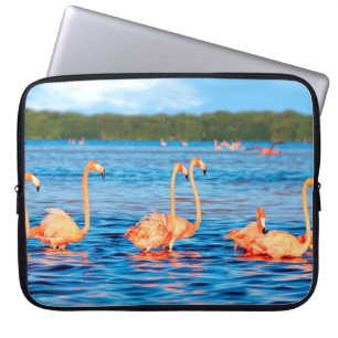 Flocks of beautiful pink flamingos in the Celestun Laptop Sleeve