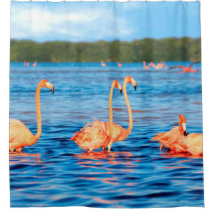Flocks of beautiful pink flamingos in the Celestun Shower Curtain