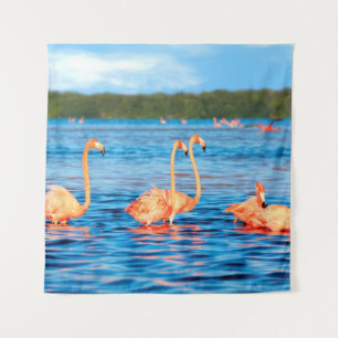 Flocks of beautiful pink flamingos in the Celestun Tapestry