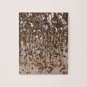 Flooded Cotton Gossypium Field Jigsaw Puzzle