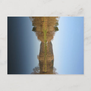 Flooded Golf Course Postcard