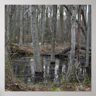 Flooded Trees Poster