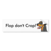Flop don't Crop! Doberman Natural Uncropped