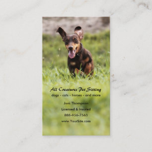Floppy Dachshund Business Card