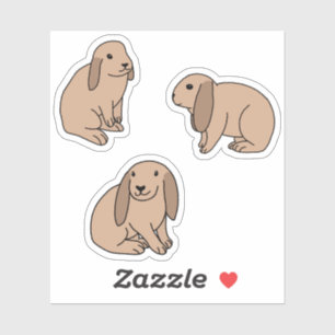 Floppy eared bunnies