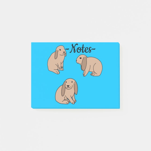 Floppy eared bunnies post-it notes (Front)