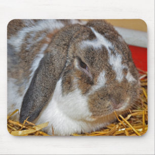 Floppy Eared Bunny Mouse Pad