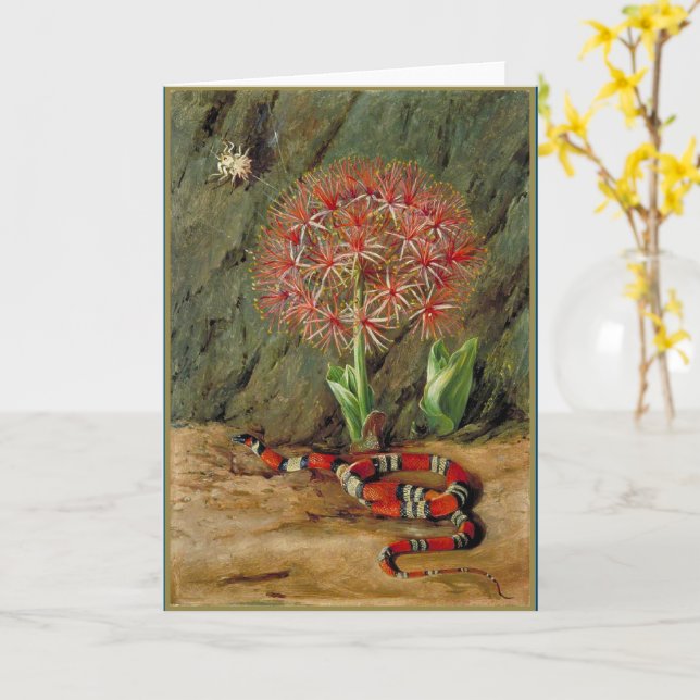 Flor Imperiale Coral Snake and Spider Card (Yellow Flower)