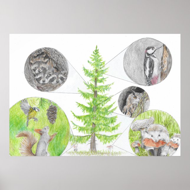 Flora and Fauna Poster (Front)