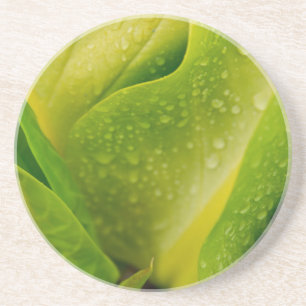 Flora Dominica 3 Coaster