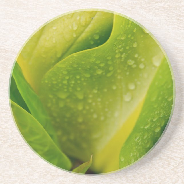 Flora Dominica 3 Coaster (Front)