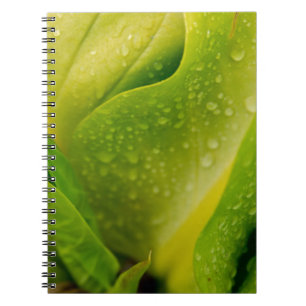 Flora Dominica 3 Notebook